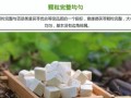 罗勒叶，一种神奇的草药（探寻罗勒叶的功效与食用方法）