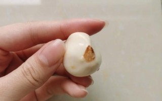 郁金香生虫问题的治理方法（有效防治郁金香生虫，保护花卉健康生长）