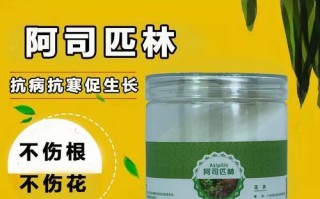 种花必备（掌握一种简单有效的植物生根方式，让你的花草茁壮成长）