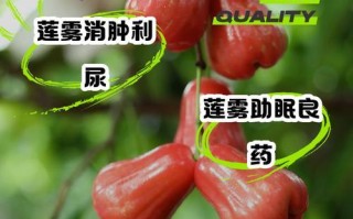 选购莲雾，这些品种最值得尝试！（了解不同品种的特点，选到最适合自己的口感）