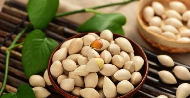 白果上市季节分析(什么季节白果成熟?上市时间表一览) 白果上市季节分析(什么季节白果成熟?上市时间表一览)