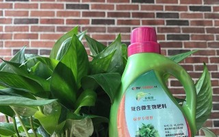 孩子误食绿箩急救方法大揭秘（急救绿箩中毒，做好这些你就放心了）
