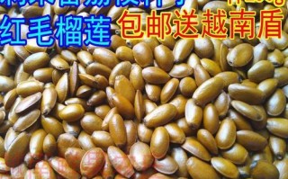 释迦果种子的营养价值与食用方法（探讨释迦果种子是否可以食用及其对人体的益处）