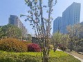 海棠，秀丽的古老花卉（以海棠为代表的中国园林艺术文化）