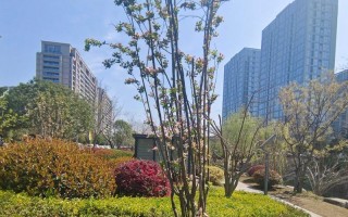 海棠，秀丽的古老花卉（以海棠为代表的中国园林艺术文化）