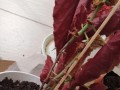 多菌灵在番红花灌根中的应用（提高番红花幼苗生长质量的关键-多菌灵）