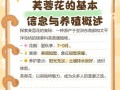 打造美丽花园的秘诀——如何栽植芙蓉花（芙蓉花栽培全攻略，让你的花园充满异域风情）