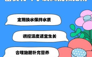 竹子茎杠杆发黄的原因及处理方法（竹子茎杠杆发黄的危害及预防措施）