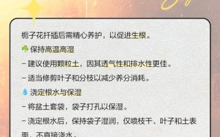 栀子花的扦插技巧与方法（如何通过扦插繁殖栀子花）