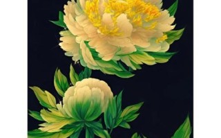 牡丹花的花语（探秘这朵美丽的花的寓意与象征）
