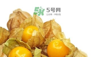 姑娘果的性质解析（探究姑娘果的热凉属性及营养价值）