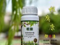 花卉根腐灵的用法及效果分析（有效防治花卉根腐病的利器——花卉根腐灵）