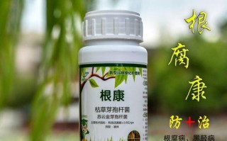 花卉根腐灵的用法及效果分析（有效防治花卉根腐病的利器——花卉根腐灵）