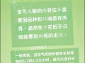 冬天菠萝养护的秘诀（保证菠萝健康成长的必备技巧）