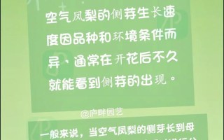 冬天菠萝养护的秘诀（保证菠萝健康成长的必备技巧）