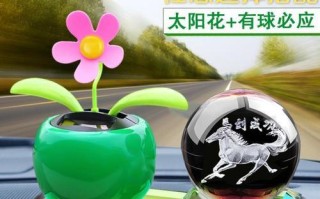 车上适合放什么植物？（让车内空气清新，增加驾驶乐趣）