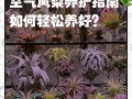 空气凤梨中间积水的处理方法（凤梨积水原因及解决方案）
