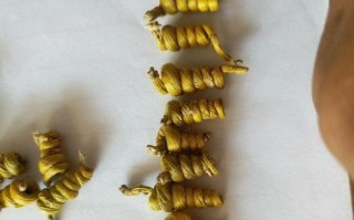 石斛的种植条件与环境要求（打造适合石斛生长的环境，让石斛茁壮成长）
