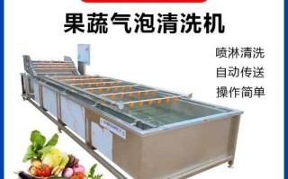 如何正确洗韭菜（掌握正确清洗技巧，让韭菜更加干净健康）