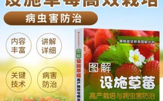 草莓病虫害防治方法与技术措施（掌握这些技巧，让草莓保持健康生长）