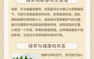 绿萝在风水中的化解之道（用绿萝调整居室风水，为家带来吉祥与好运）