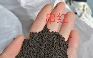 一串红花期及开花时间（仙人掌科植物一串红的生长特性与繁殖方式）