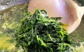 青菜烂心问题解决方法剖析（解决青菜烂心问题的实用技巧）