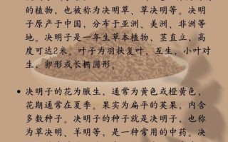 决明子种植与生长周期详解（根据种植时间和注意事项，轻松掌握决明子生长周期）
