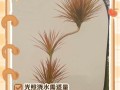 叶子尖干枯怎么办？救活枯萎植物的方法（有效的护理方法让植物恢复生机）