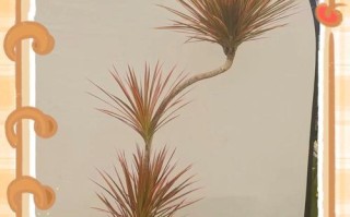 叶子尖干枯怎么办？救活枯萎植物的方法（有效的护理方法让植物恢复生机）