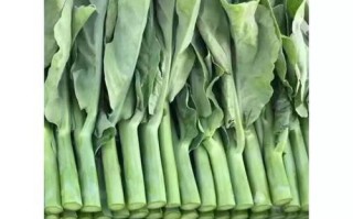芥兰种植指南（最佳时间、种植技巧、施肥方法等详解）