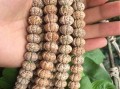 星月菩提的果实（探秘这种神秘的植物果实）