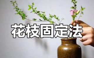 侧枝长得快的方法（植物学家的小妙招让侧枝茁壮成长）