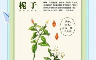栀子花虫害防治方法及技巧（栀子花虫害的症状及防治要点）