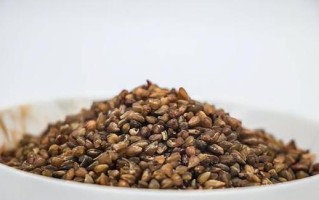 苦荞和荞麦（从起源、特点、用途看荞麦和苦荞的区别）