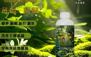 白醋的神奇之处——多肉植物的保健良药