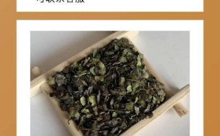 浮萍的神奇之处（揭秘浮萍的多种功效及作用）