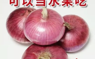 洋葱水培还是土培？如何选择？（探讨洋葱水培与土培的区别及优缺点，为您提供种植参考。）