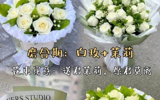初恋之礼——送什么花合适？（初恋送花，这些事项要注意）