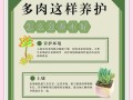 雨水对以露养的多肉的影响及避免措施（如何保护以露养的多肉免受雨水侵害）