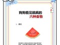 狗狗可以吃玉米吗？（玉米对狗狗的影响和注意事项）