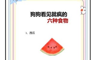 狗狗可以吃玉米吗？（玉米对狗狗的影响和注意事项）