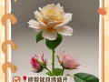 干梅花修剪枝叶指南（手把手教你如何正确修剪干梅花的枝叶）