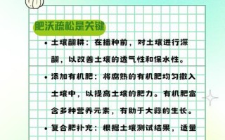 大蒜头水培养殖的方法与技巧（掌握大蒜头水培的关键步骤，打造丰收的蒜农之路）