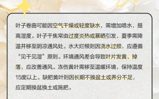 彩虹竹芋叶子耷拉下来的原因（探寻叶子耷拉的秘密，了解植物健康状况）
