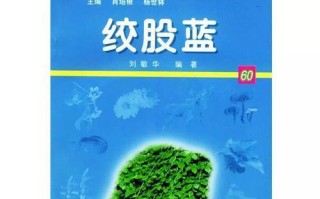 如何选择最佳的绞股蓝种子种植时间？