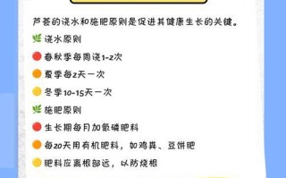 芦荟养护技巧（折断芦荟的关键步骤与注意事项）