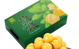 揭开姑娘果的神秘面纱（探秘姑娘果的味道和营养）