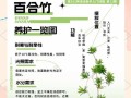 以莲花竹水养的繁殖技巧（如何利用水养法繁殖莲花竹）