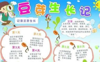 绿豆的生长环境条件和习性特点（探究绿豆生长的奥秘，助力绿色种植）